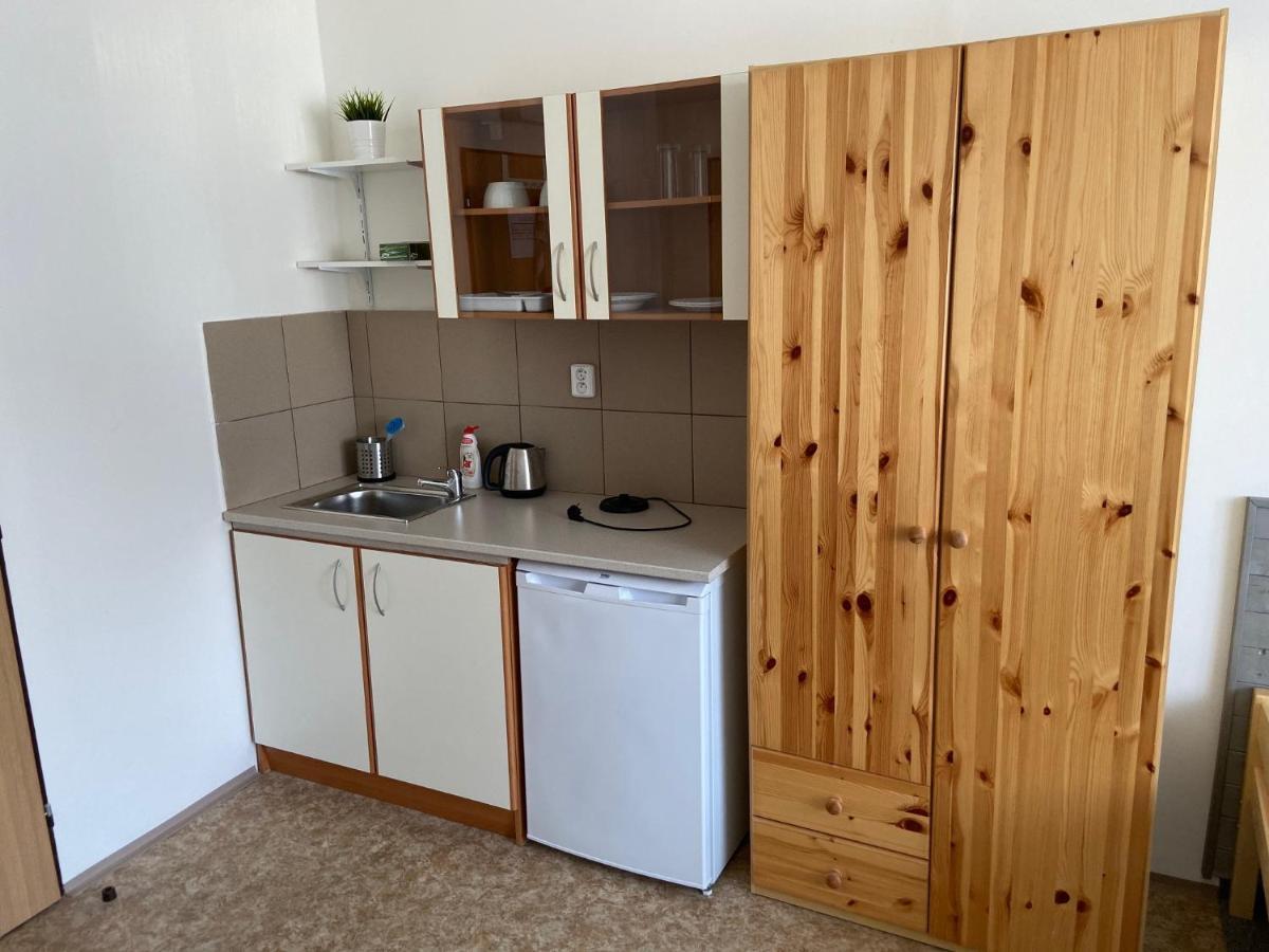 Apartmany Premyslova Hradec Králové Екстериор снимка